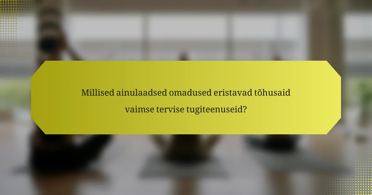 Millised ainulaadsed omadused eristavad tõhusaid vaimse tervise tugiteenuseid?