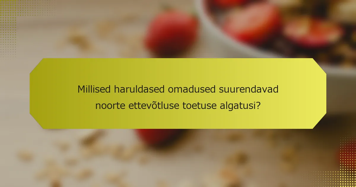 Millised haruldased omadused suurendavad noorte ettevõtluse toetuse algatusi?