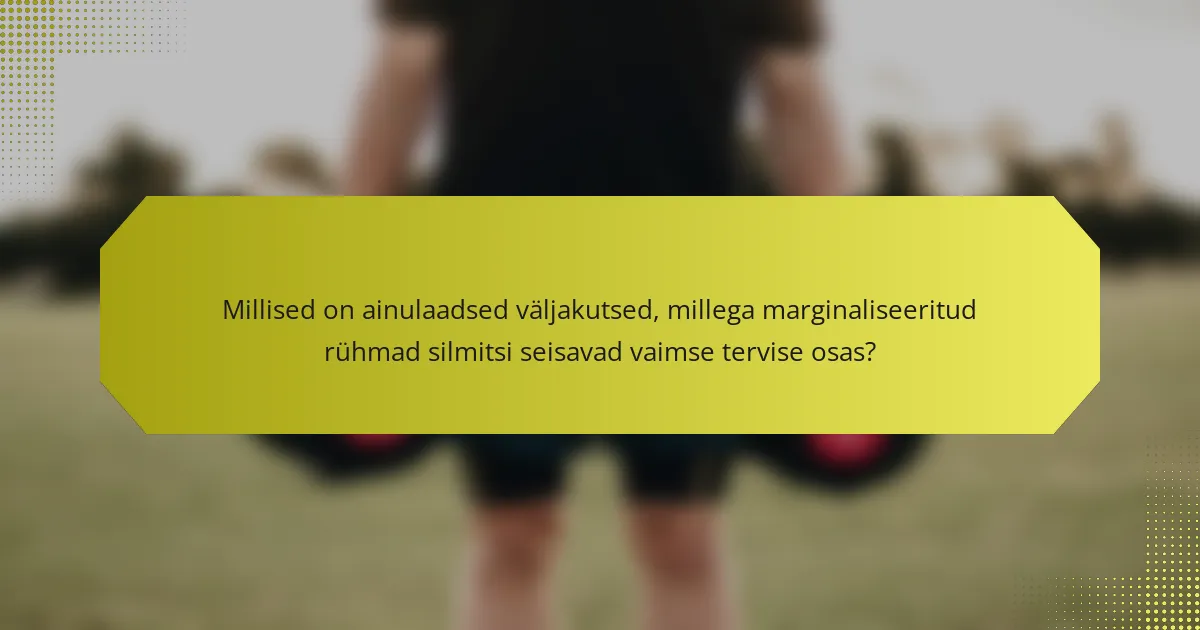 Millised on ainulaadsed väljakutsed, millega marginaliseeritud rühmad silmitsi seisavad vaimse tervise osas?