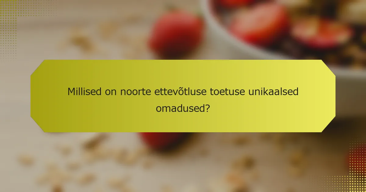Millised on noorte ettevõtluse toetuse unikaalsed omadused?