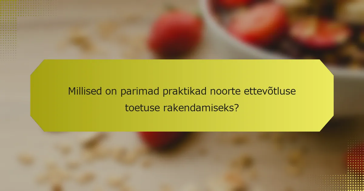 Millised on parimad praktikad noorte ettevõtluse toetuse rakendamiseks?