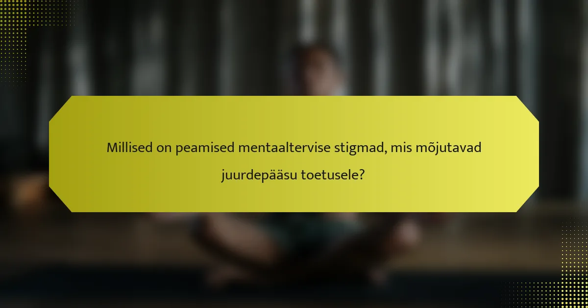 Millised on peamised mentaaltervise stigmad, mis mõjutavad juurdepääsu toetusele?