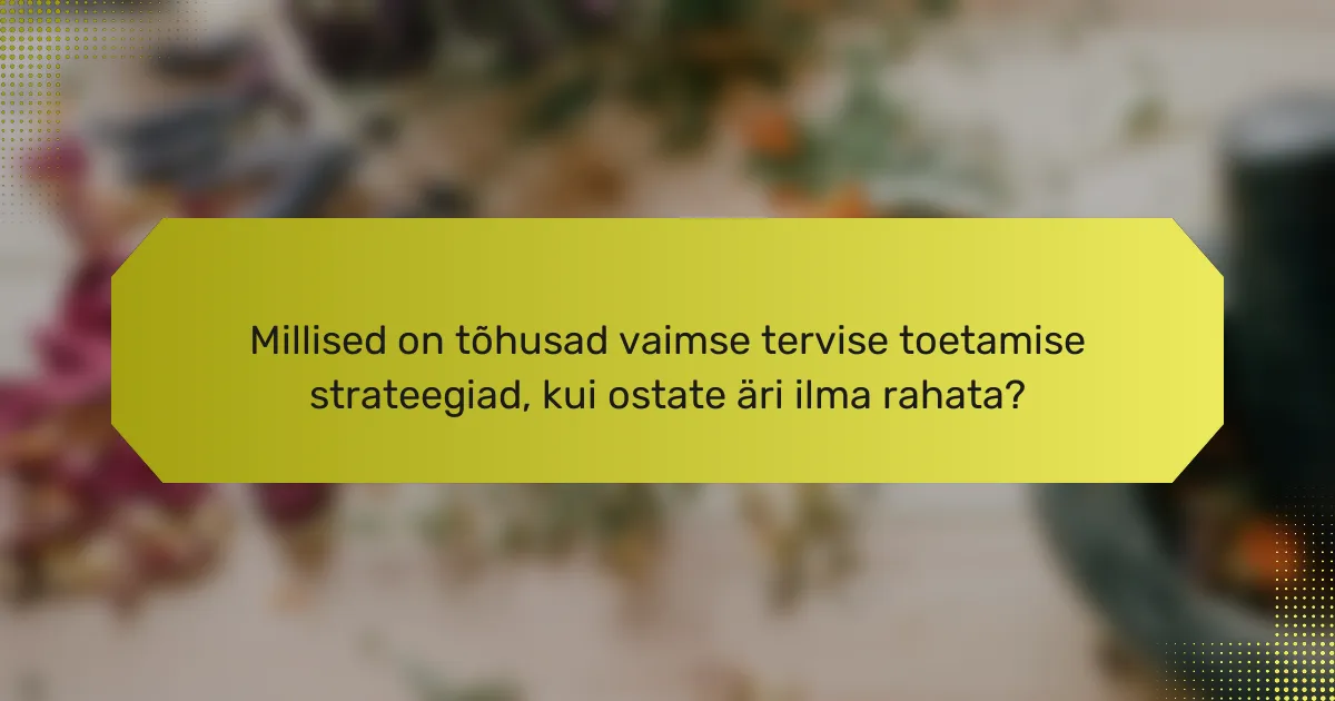 <h2>Kuidas osta äri ilma rahata: vaimse tervise toetamise strateegiad ja ressursid</h2>