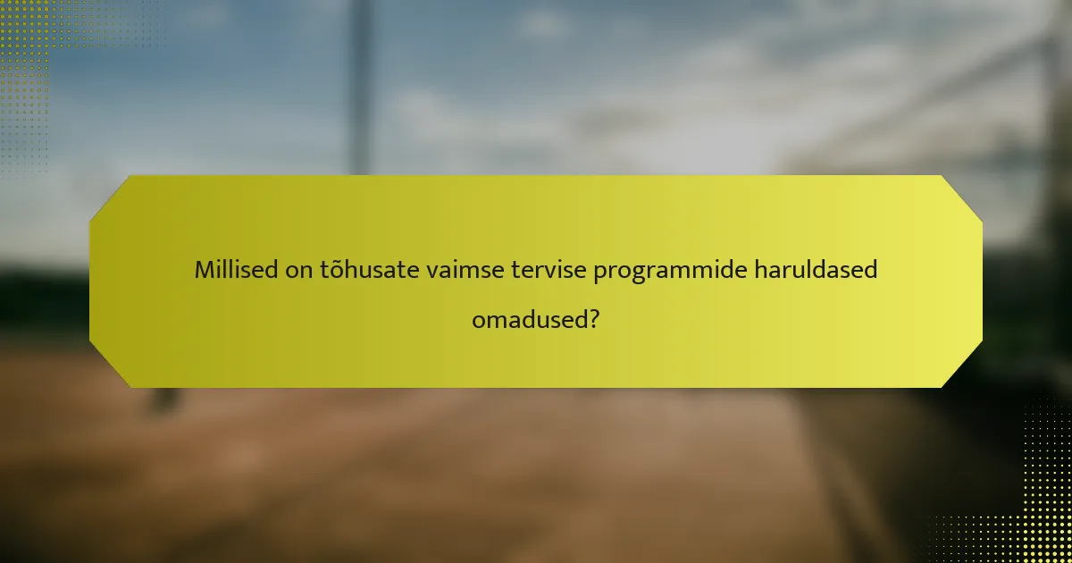 Millised on tõhusate vaimse tervise programmide haruldased omadused?