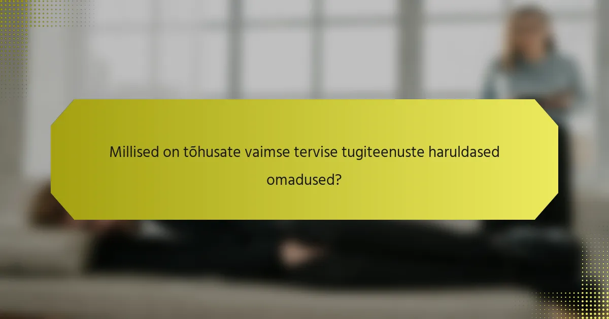 Millised on tõhusate vaimse tervise tugiteenuste haruldased omadused?