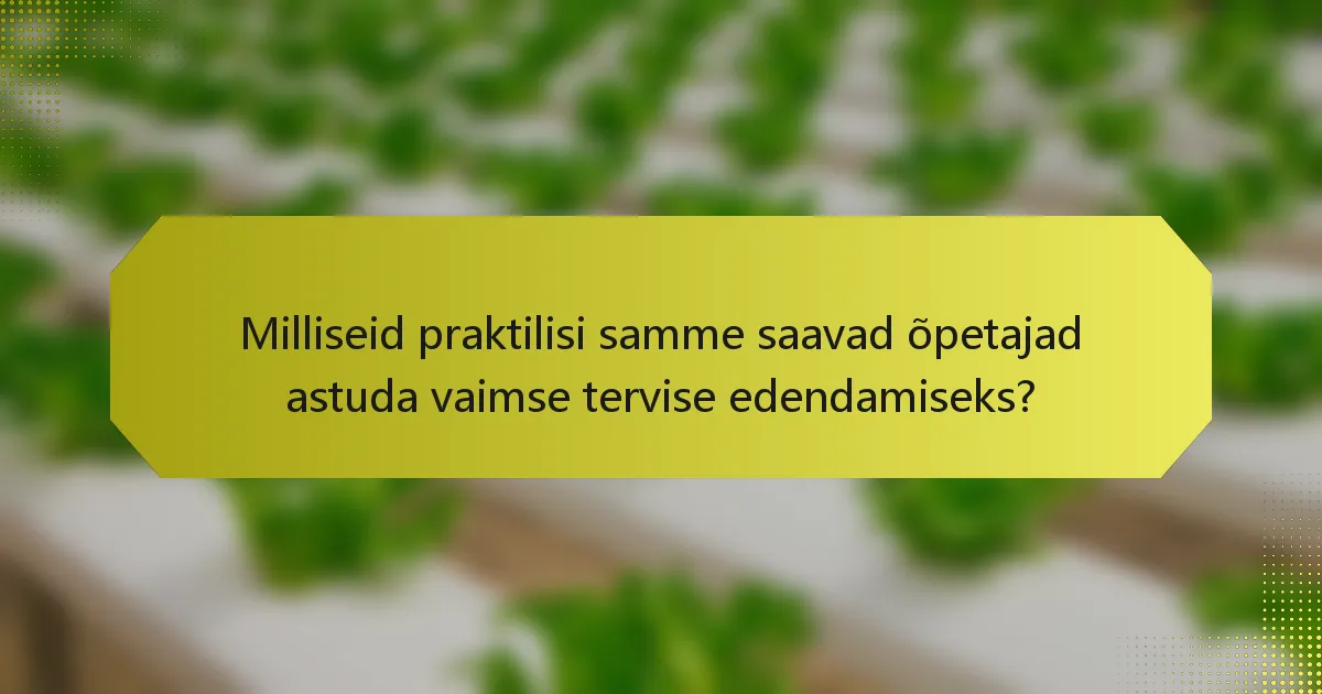 Milliseid praktilisi samme saavad õpetajad astuda vaimse tervise edendamiseks?